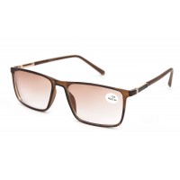 Очки Verse 19141S-C2 тон.