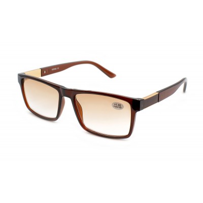 Очки Verse 24022-C2 тон. в пластиковой оправе