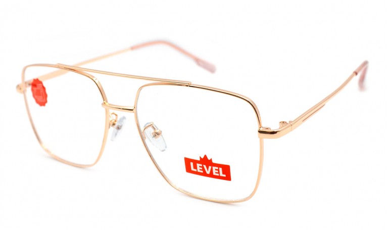 Очки компьютерные Level 5556-C6