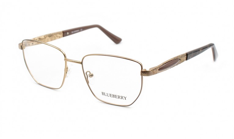 Оправа металлическая Blueberry 39006A-C2