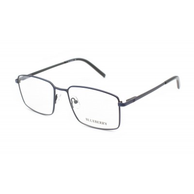 Оправа металева Blueberry 4200-C4
