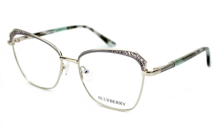 Оправа металлическая Blueberry XC62190-C2