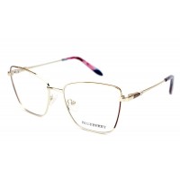 Оправа металічна Blueberry XC62330-C2