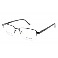 Оправа металлическая Coliseum 6032-H01