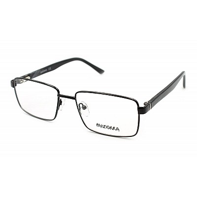 Pandorra 6202-C1: Чоловічі металеві обідкові окуляри для зору Pandorra 6202-C1: Чоловічі металеві обідкові окуляри для зору