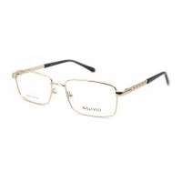 Оправа металлическая Salivio 9033-C1