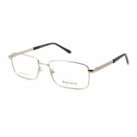 Оправа металлическая Salivio 9033-C2