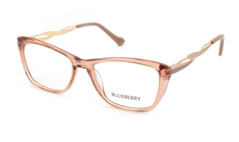 Оправа пластикові Blueberry 6586-C5