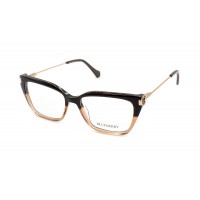 Оправа пластиковая Blueberry 6691A-C3