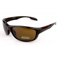 Солнцезащитные очки Difeil DF9310-C2 Солнцезащитные очки Difeil DF9310-C2