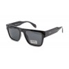 Matrix (polarized)