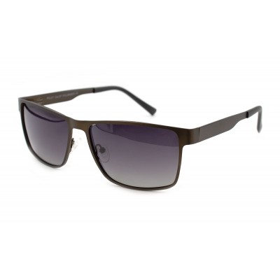 Солнцезащитные очки Pilot 24704-C2