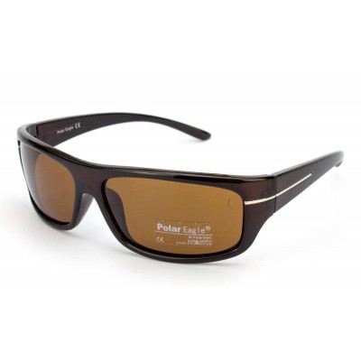 Солнцезащитные очки Polar Eagle PE8203-C2