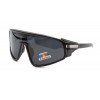 Polarized
