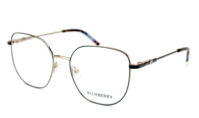 Оправа металлическая Blueberry F789-C10