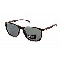 Очки Zarini 4071-C2